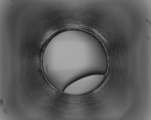 X0000092031215200709061344