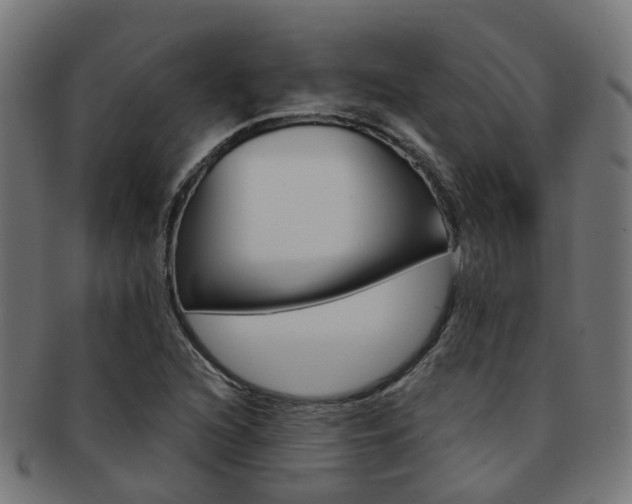 X0000092031216200709061344