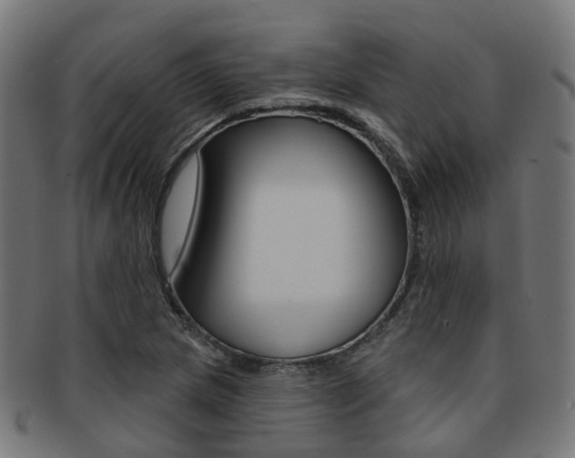 X0000092031217200709061344