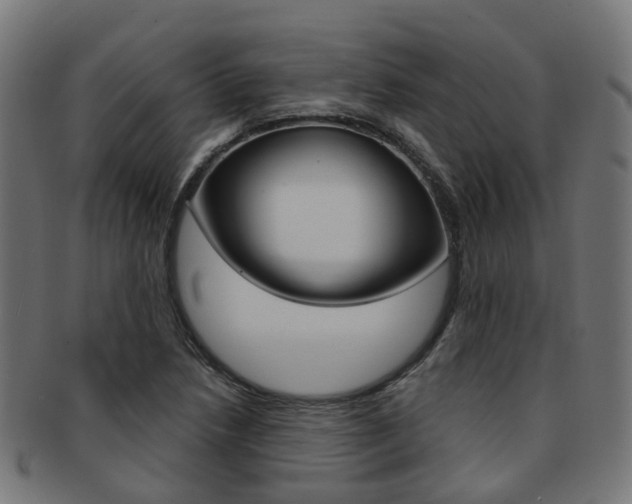 X0000092031218200709061344