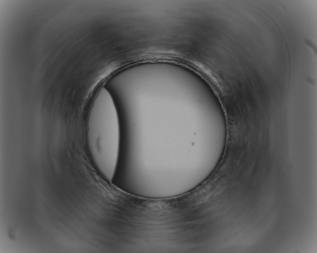X0000092031219200709061344