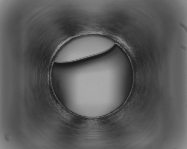 X0000092031220200709061344