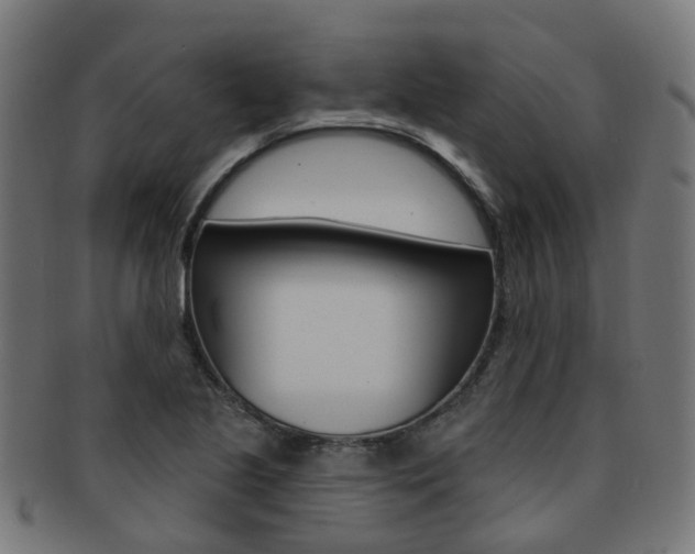 X0000092031221200709061344