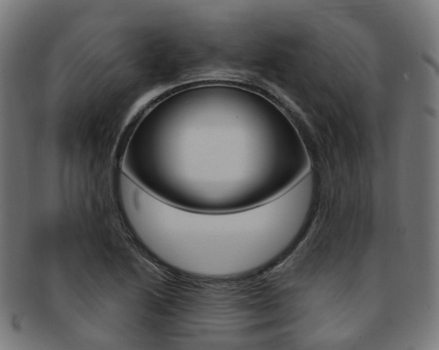 X0000092031222200709061344