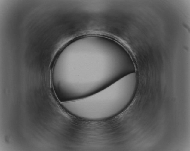 X0000092031223200709061344