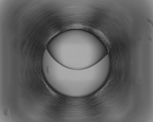 X0000092031225200709061344