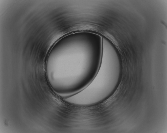 X0000092031226200709061344