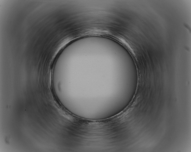 X0000092031227200709061344