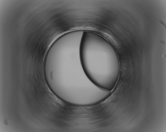 X0000092031228200709061344