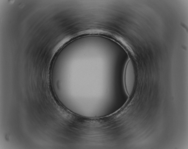 X0000092031229200709061344