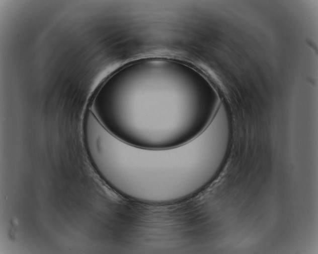 X0000092031230200709061344