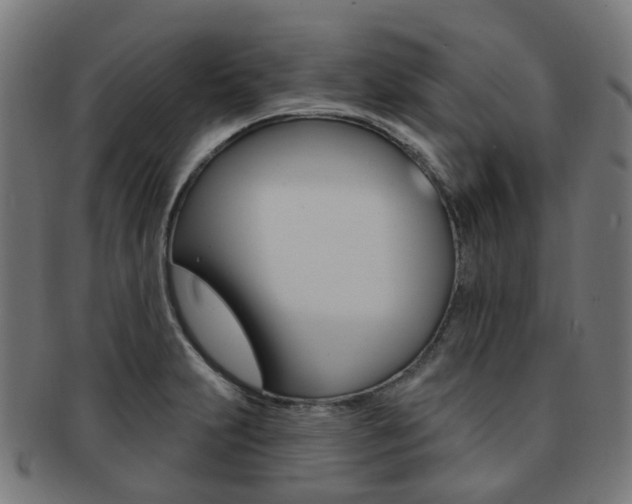 X0000092031231200709061344