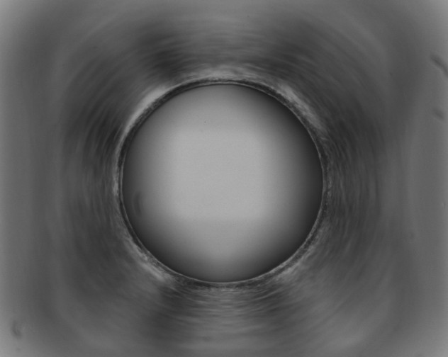 X0000092031232200709061344