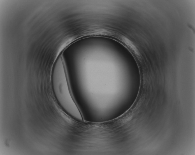 X0000092031234200709061344