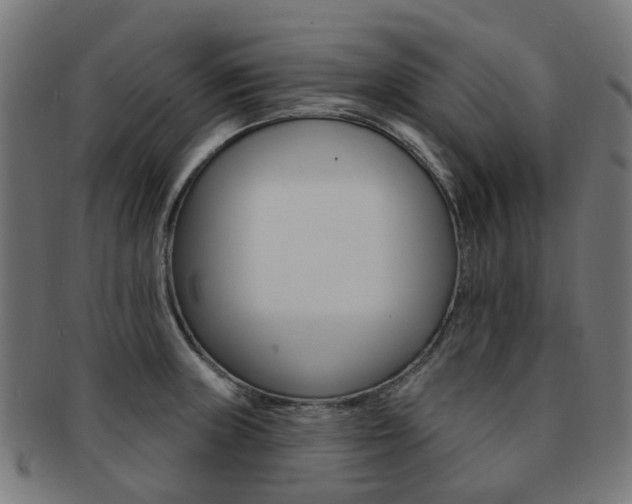 X0000092031235200709061344