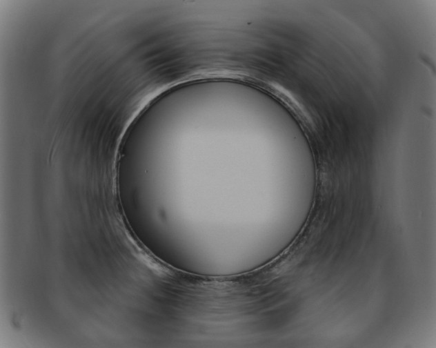 X0000092031236200709061344
