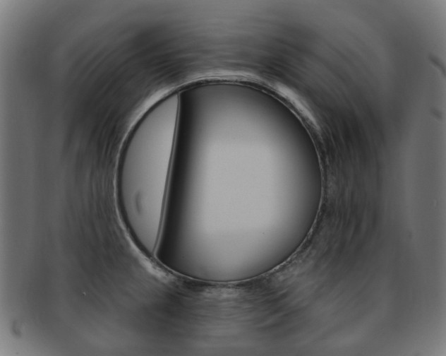 X0000092031237200709061344