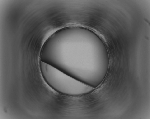 X0000092031239200709061344