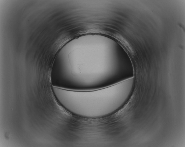 X0000092031241200709061344