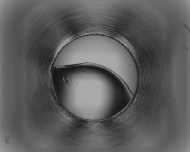 X0000092031242200709061344