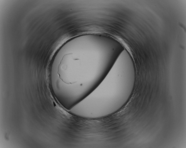 X0000092031243200709061344