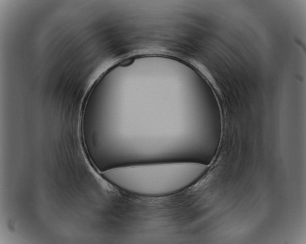 X0000092031245200709061344