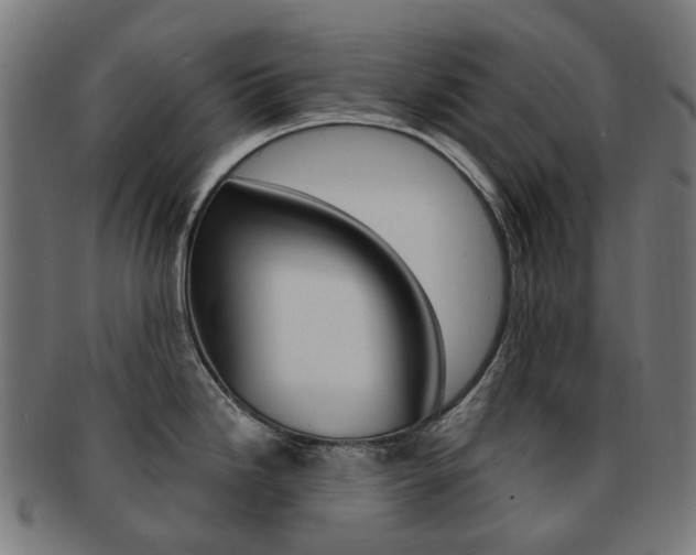 X0000092031246200709061344