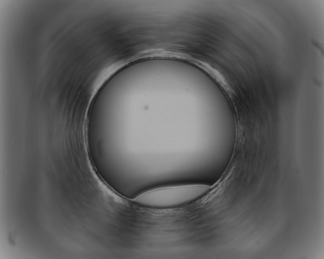 X0000092031247200709061344