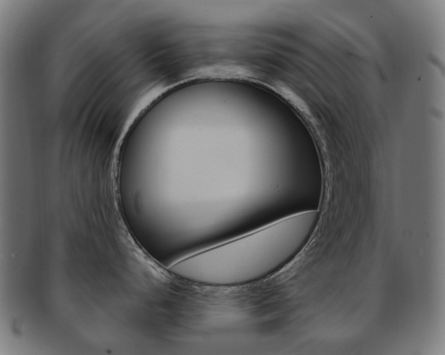 X0000092031248200709061344