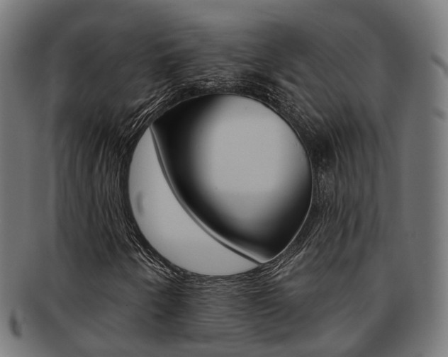 X0000092031250200709061343