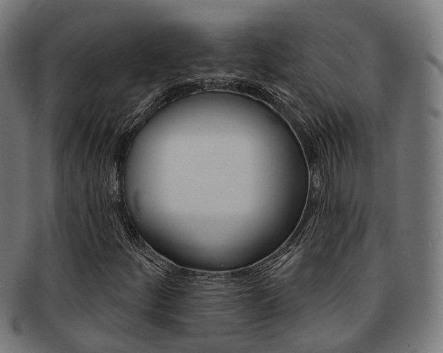 X0000092031252200709061343