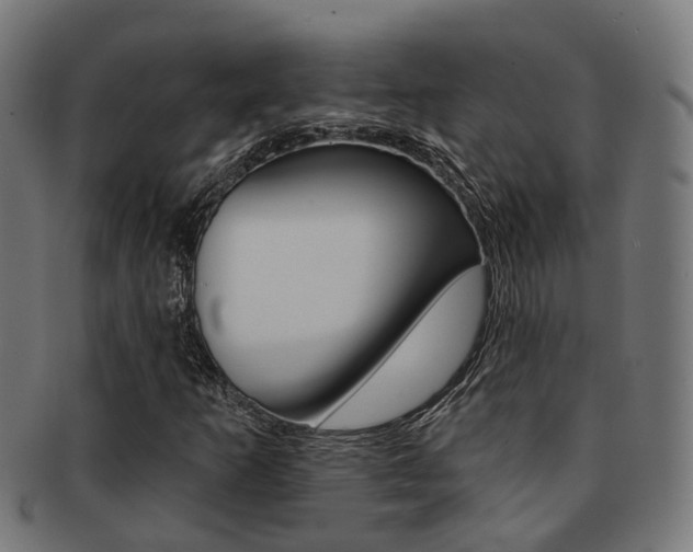 X0000092031253200709061343