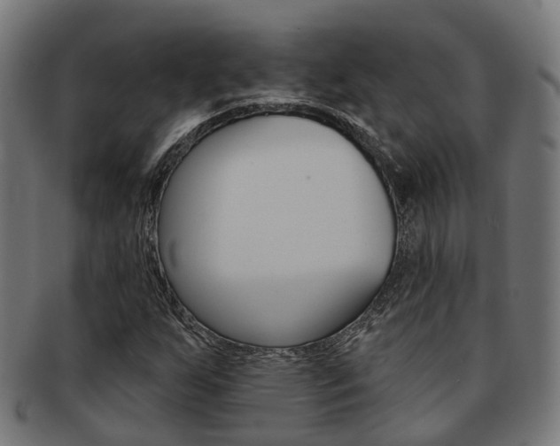 X0000092031255200709061343