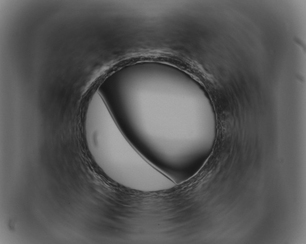 X0000092031256200709061343