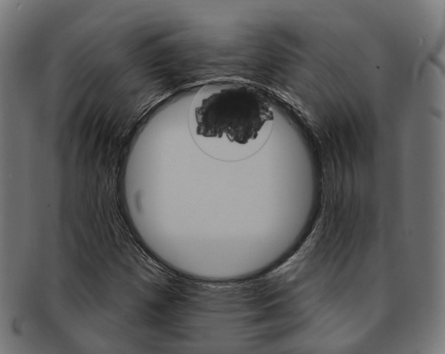 X0000092031257200709061343