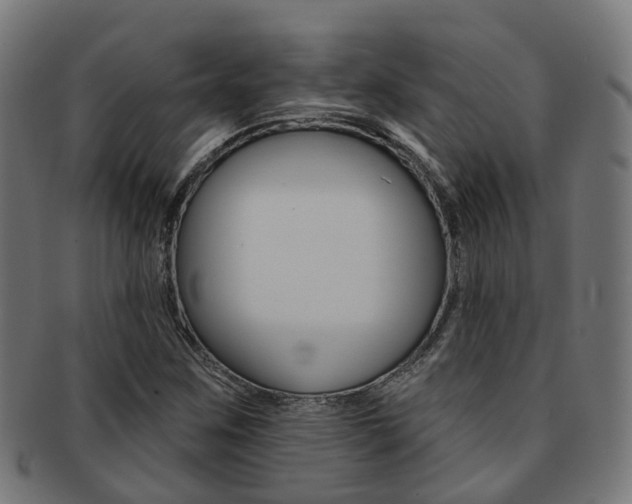X0000092031259200709061343