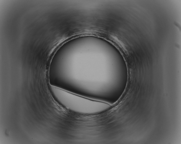 X0000092031260200709061343