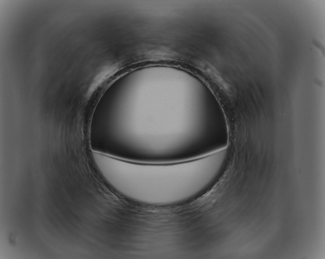 X0000092031261200709061343