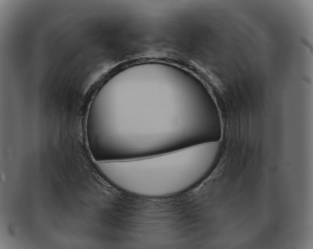 X0000092031262200709061343