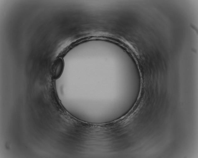 X0000092031263200709061343