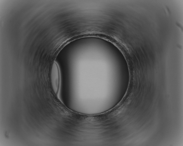 X0000092031265200709061343