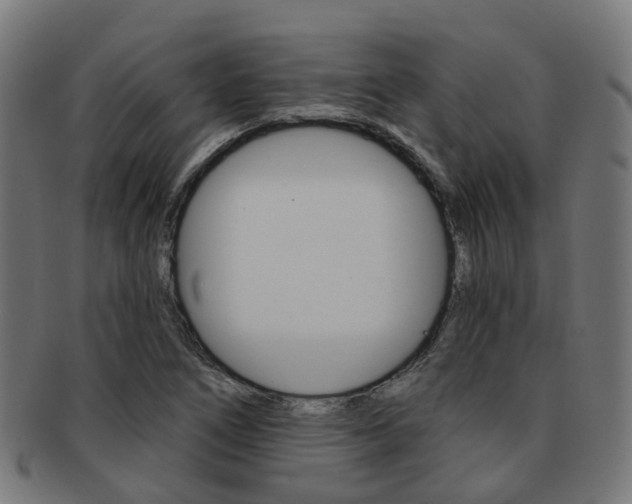 X0000092031266200709061343
