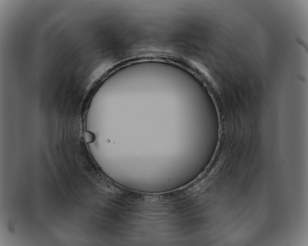 X0000092031267200709061343