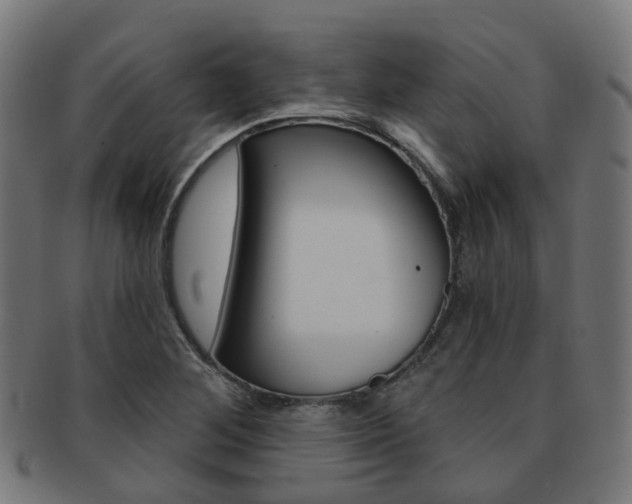 X0000092031268200709061343