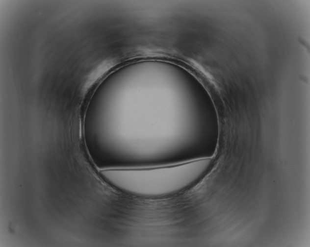 X0000092031269200709061343