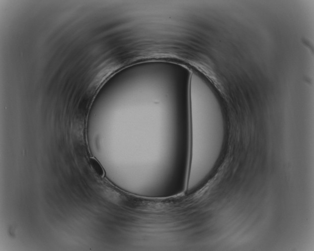 X0000092031273200709061343