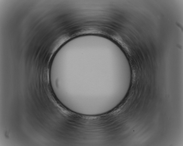 X0000092031274200709061343