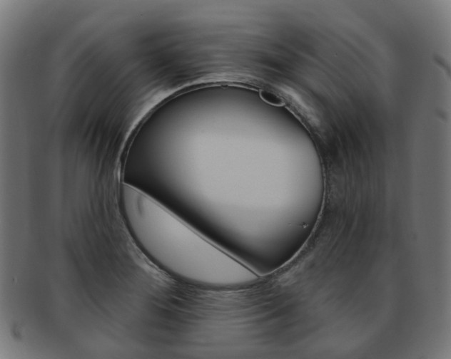 X0000092031276200709061343