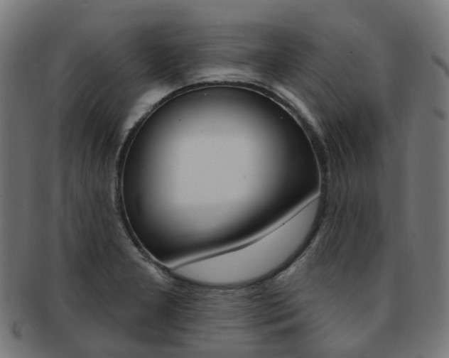 X0000092031277200709061343
