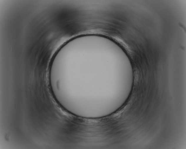 X0000092031278200709061343